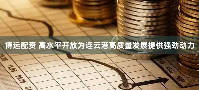 博远配资 高水平开放为连云港高质量发展提供强劲动力