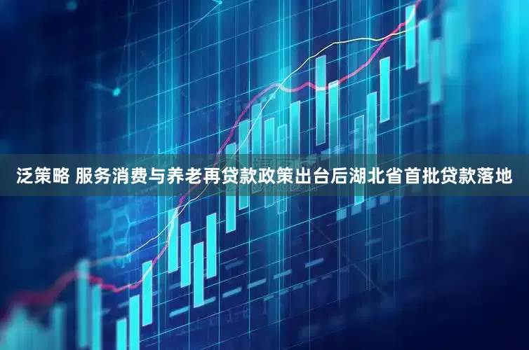 泛策略 服务消费与养老再贷款政策出台后湖北省首批贷款落地