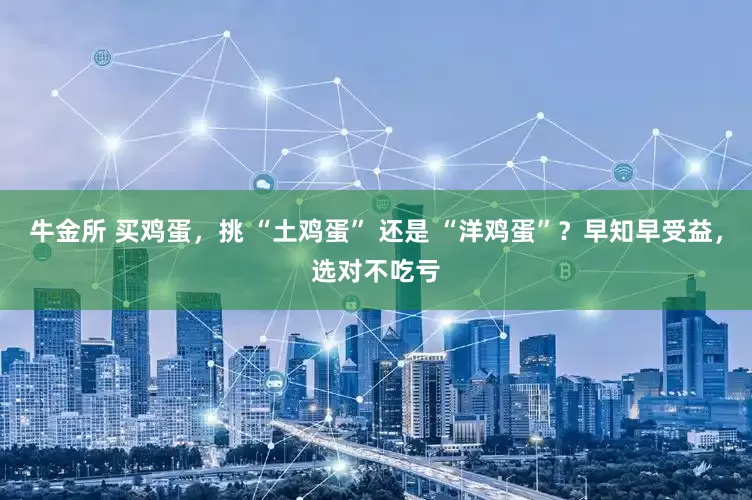 牛金所 买鸡蛋，挑 “土鸡蛋” 还是 “洋鸡蛋”？早知早受益，选对不吃亏