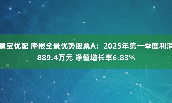 建宝优配 摩根全景优势股票A：2025年第一季度利润889.4万元 净值增长率6.83%
