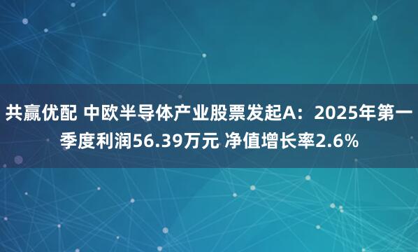 共赢优配 中欧半导体产业股票发起A：2025年第一季度利润56.39万元 净值增长率2.6%