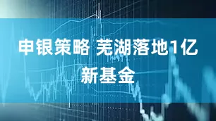 申银策略 芜湖落地1亿新基金